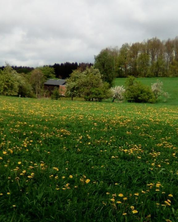 Landgasthof Plohnbachtal